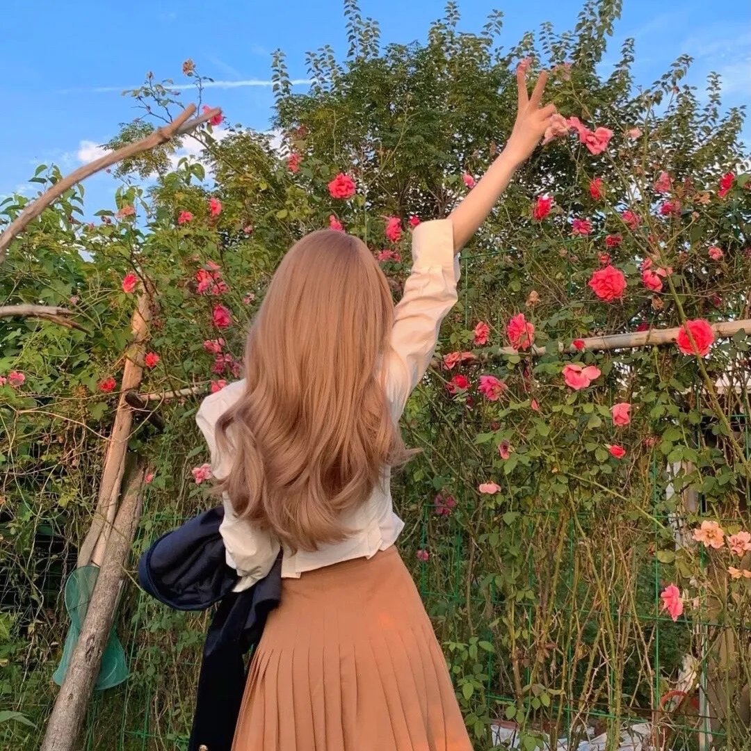 2026热映片单第049期